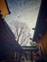 B554D984-A1A1-477B-B2D7-F85443152EFC/L0/001