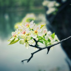 535C5F4A-D743-4F03-8926-39A62F9AE8CF/L0/001