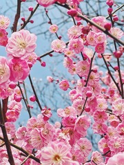 9853B5AE-A108-4999-A502-D0A3C7204EF5/L0/001