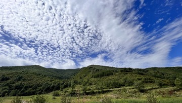 B839CC5F-69BD-49CB-8900-6BA5D0541D79/L0/001