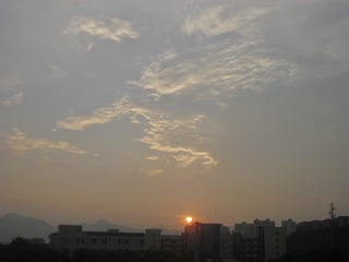 498295E0-FF01-474E-8794-DB1F760E113F/L0/001