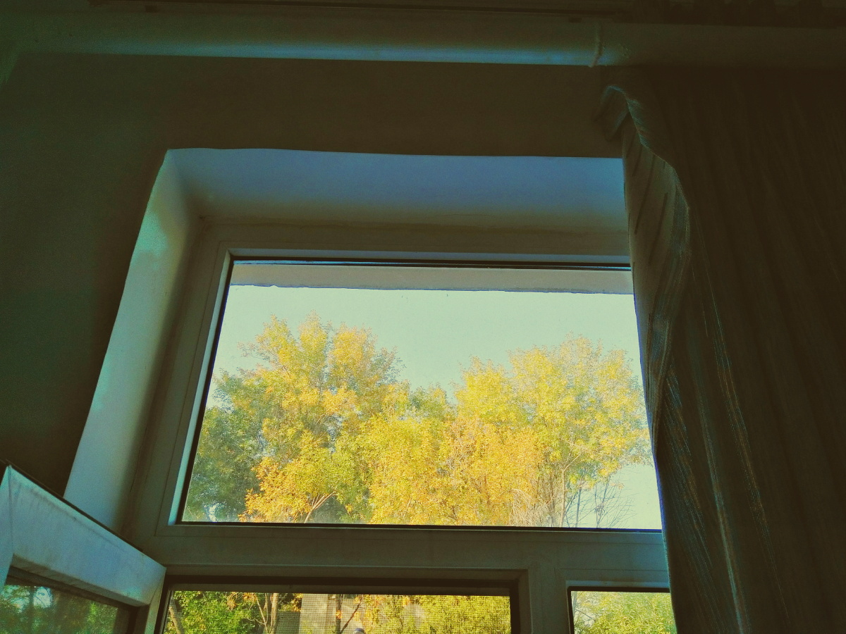 窗户里的风景
