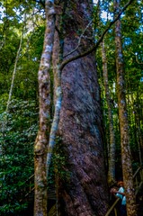 _DSC3519