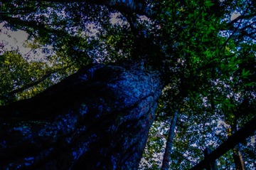 _DSC3512