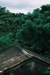 BB057D66-48EB-4097-8DD3-F1D7F1B9A157/L0/001