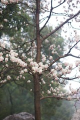 B28F77ED-C8C3-45E5-9898-CD0AA24FFB67/L0/001