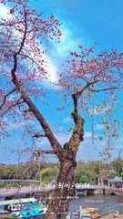 350A5A31-AF11-48F9-9DA7-AB54D5FA8209/L0/001
