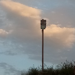 80698