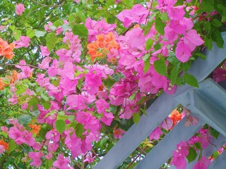 F300422C-E8F6-4BB7-B9E8-C0013270B714/L0/001