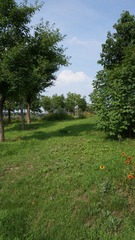 844C3D61-AA89-444B-8416-46BE4DE62CF5/L0/001