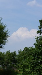7CB6B90F-E588-4E6B-AF24-16F5E30BB4CE/L0/001