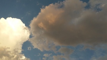 1164767