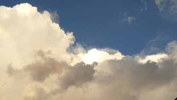 1164766