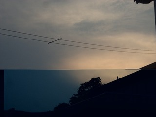 119016