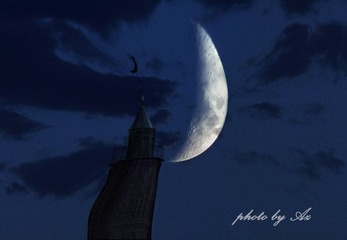 IMG_1512-恢复的x.jpg