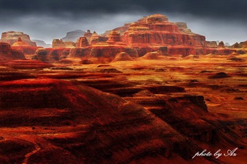IMG_1749x1x.jpg