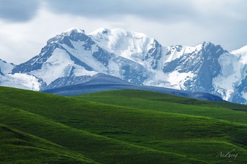 草地雪山s