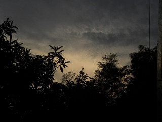 AECBB756-045B-428B-AA0F-63B6534FAE9F/L0/001