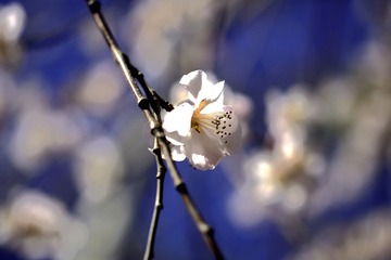 _MG_0097_