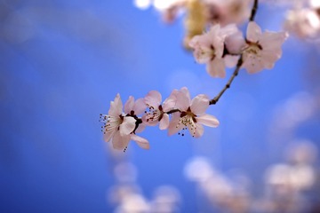 _MG_0122_