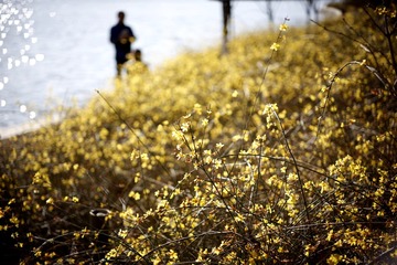 _MG_0195_