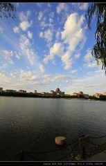 _MG_2594.jpg