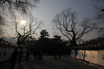 _MG_8268.jpg