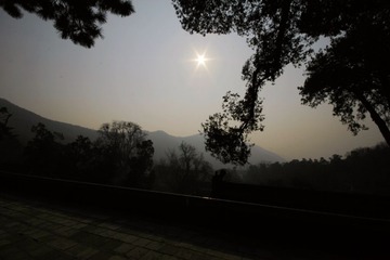 _MG_8313.jpg