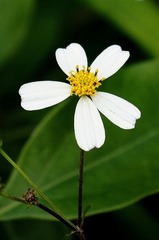 _DSC0034.jpg