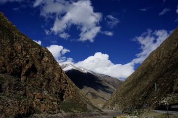 _DSC0254