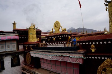 _DSC001511