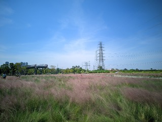732683