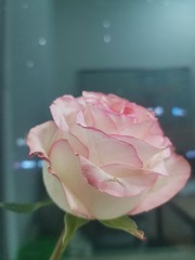 972364