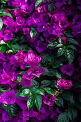 4FDD807A-32B0-4D2C-A2A1-5F05405B1F79/L0/001