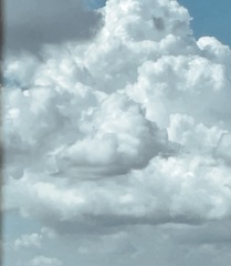 77E1CC9E-F2F6-47BA-AC5B-4668C40FF7B2/L0/001