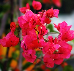 5F6E5D3D-C6FD-4D99-95FA-C4B83CF78B97/L0/001