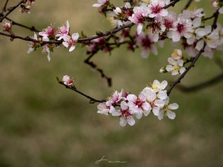 53A6035D-B56C-4870-9C4A-717A9428039F/L0/001