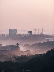 1000028288