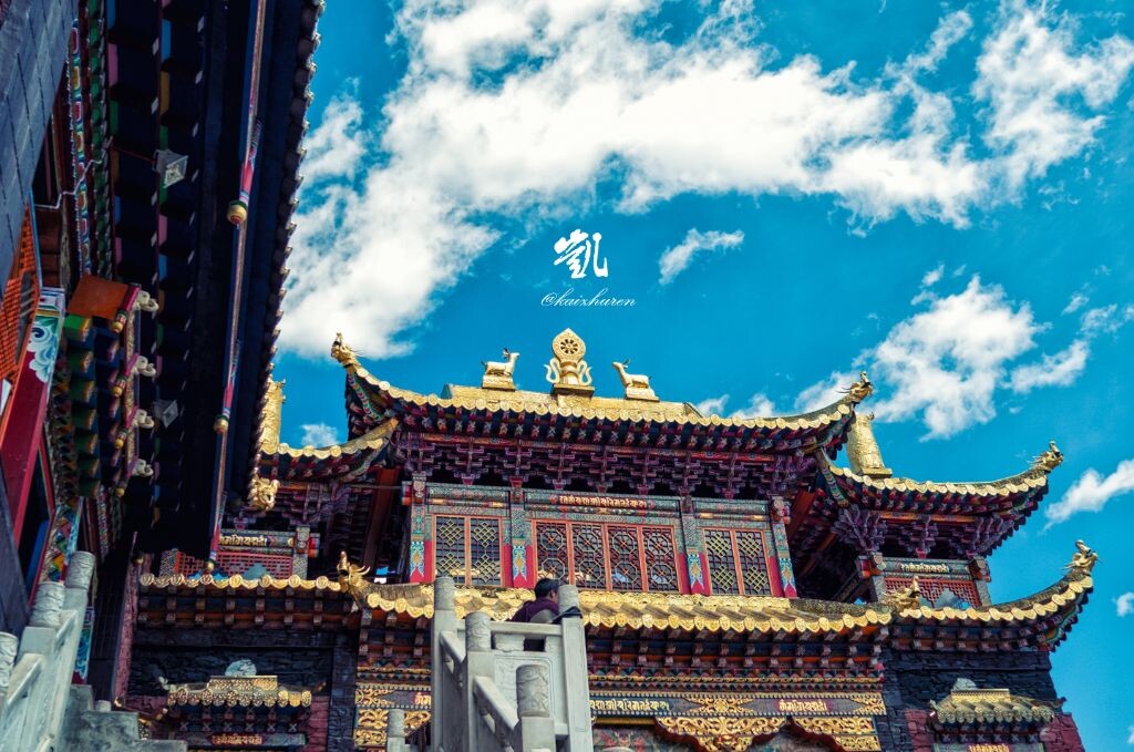 庙桥镇人口_人口普查(3)