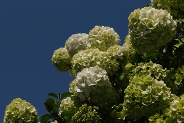 3A9811A3-6BB0-4BF7-8D1C-903A13F3DDF7/L0/001