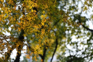 177476E5-E133-4DF3-A19D-69DD2CAE0603/L0/001