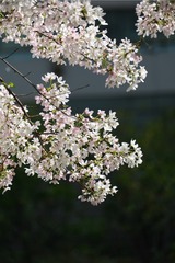 13DEB55F-5291-4AB2-8AB6-12B761BF8B5C/L0/001
