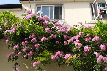 54AF3B73-30B9-433E-9222-9F8C678E8DC5/L0/001