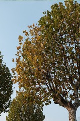 3CC73861-18F1-4264-A6CD-1756EAB1183B/L0/001