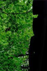 BD299308-C4BB-4E72-8592-EE8D26DB9E8C/L0/001