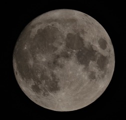 FA04F0EC-3281-40A7-BF0D-1C6792615FBE/L0/001