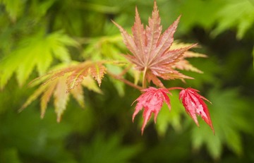 DSC07583.JPG