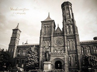 IMG_2838a.jpg