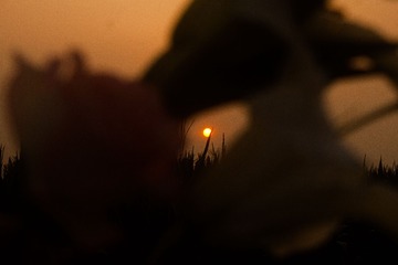 1106216