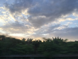 833568FE-3B9F-481F-B64C-C6FFBD8D2882/L0/001